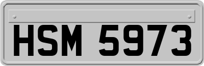 HSM5973
