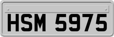 HSM5975