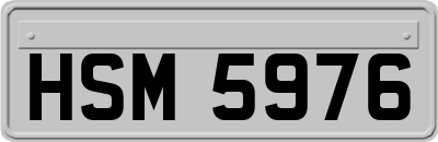 HSM5976