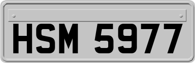 HSM5977