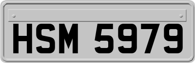 HSM5979