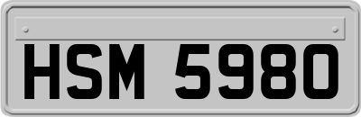 HSM5980