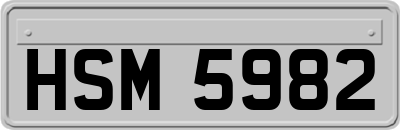 HSM5982