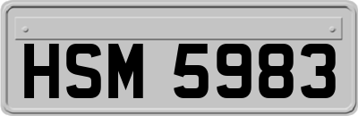 HSM5983