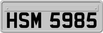 HSM5985