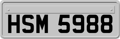 HSM5988