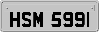 HSM5991