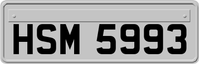 HSM5993