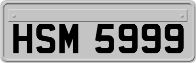 HSM5999