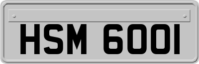 HSM6001