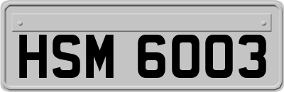 HSM6003