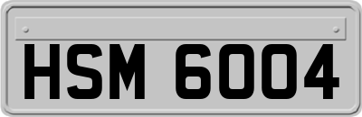 HSM6004