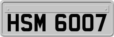 HSM6007