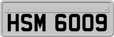HSM6009