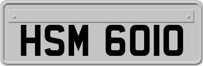 HSM6010
