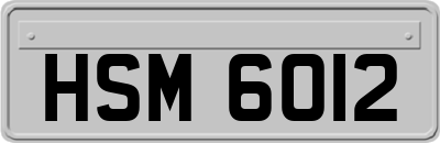 HSM6012