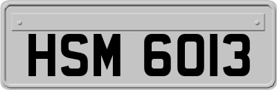 HSM6013