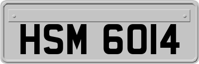 HSM6014