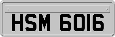 HSM6016