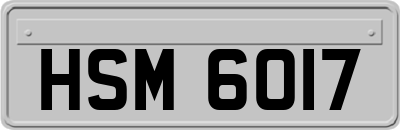 HSM6017