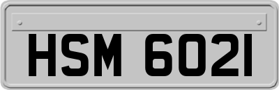 HSM6021