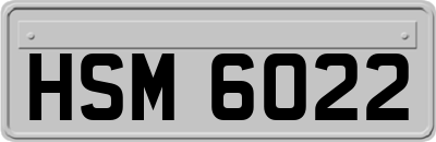HSM6022