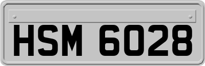HSM6028