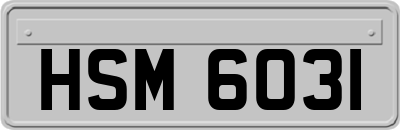 HSM6031