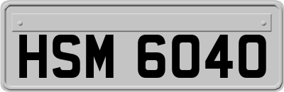 HSM6040