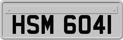 HSM6041
