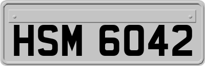 HSM6042