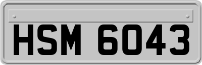 HSM6043