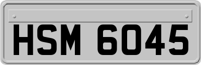 HSM6045