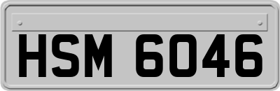 HSM6046