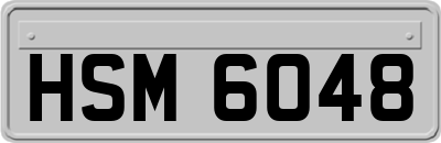 HSM6048