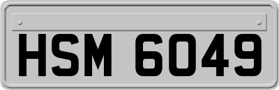 HSM6049