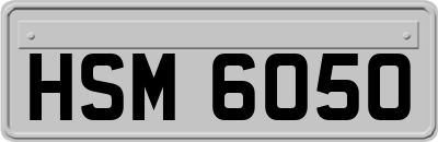 HSM6050