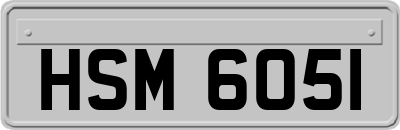 HSM6051