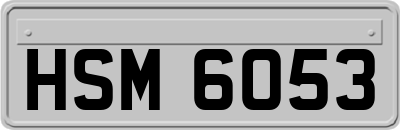 HSM6053