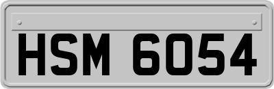 HSM6054