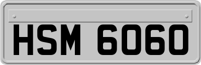 HSM6060