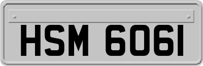HSM6061