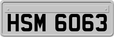 HSM6063