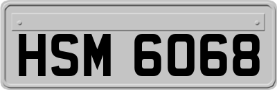 HSM6068