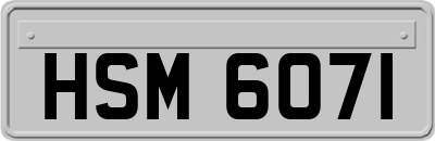 HSM6071
