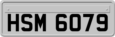 HSM6079