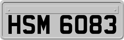HSM6083