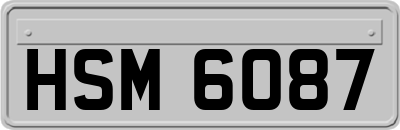 HSM6087