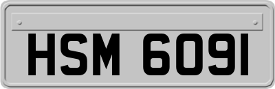 HSM6091