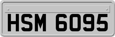 HSM6095